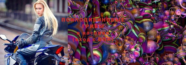 гашик Балахна