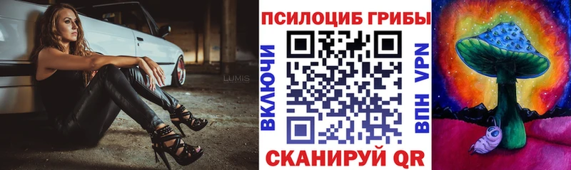 Псилоцибиновые грибы Magic Shrooms  наркота  Зеленокумск 
